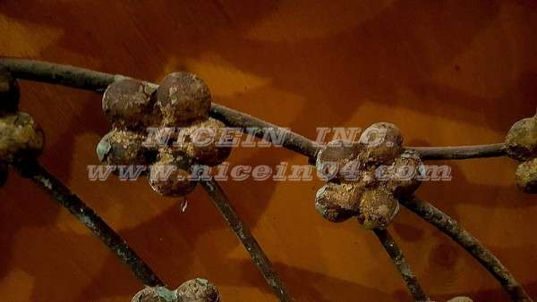 d5397eadeff25365ec47078463199f51_1483949