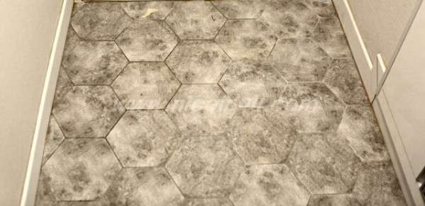 ae68da1a45216d92a7a5050b93a518a3_1488957