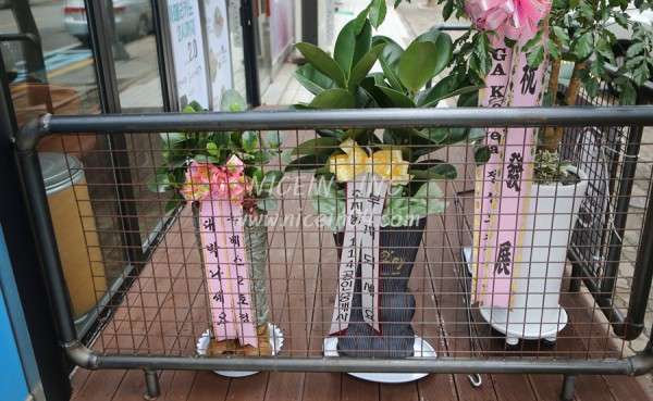 20a1ded929db5b46fa5b2d1a5eb689f9_1502352