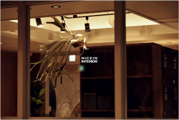 b5b4d5ec7f4c8729859b5570c1ae2bdd_1579134